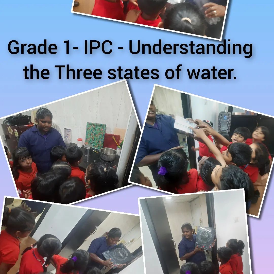 Scholastic Activities - IPC 23-24